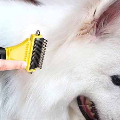 grooming canino tecnica de stripping