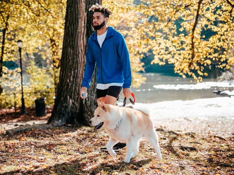 ¿Con correa o sin correa? ¿Cómo saco a pasear a mi perro?